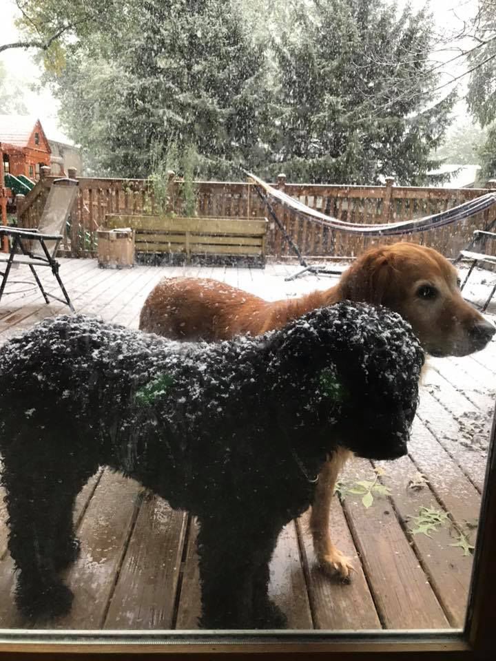 Snow, 10/14